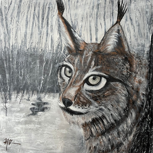 Yuki Le lynx boréal